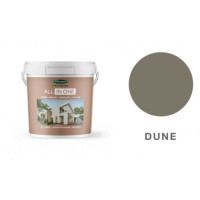 PAINT O'GRADY'S 20LT ALL IN ONE DUNE