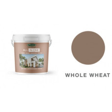 PAINT O'GRADY'S 20LT ALL IN ONE W/WHEAT