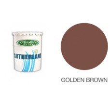 PAINT GLOSS 100 20L G/BROWN