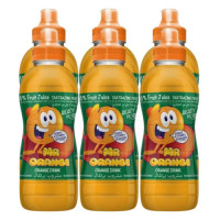 MR ORANGE 6X300ML