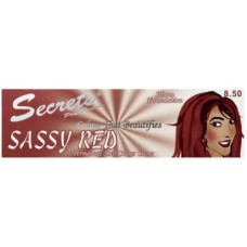 SECRETS H/DYE 2X50ML WILD CHERRY