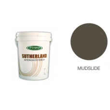 PAINT TEXTURE MUDSLIDE 20L